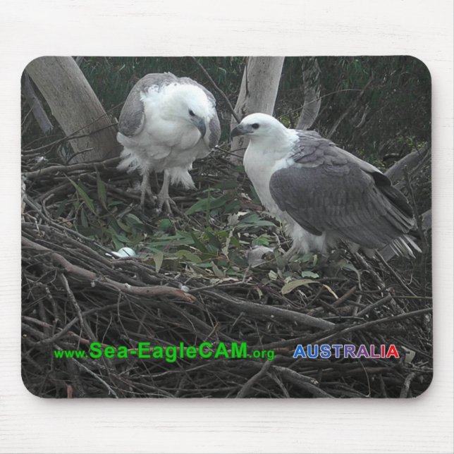 Mom & Dad admiring the Eggs Mousepad Horizontal 02 (Front)