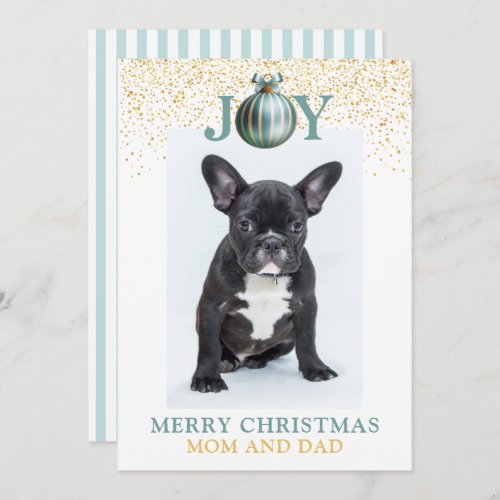 Mom Dad Christmas From Dog Holiday Card