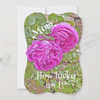 Mom, How Lucky Am I?/roses/Mother's Day