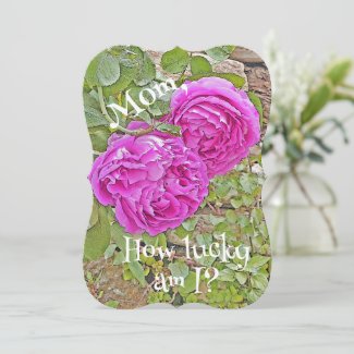 Mom, How Lucky Am I?/roses/Mother's Day