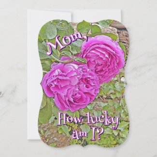 Mom, How Lucky Am I?/roses/Mother's Day