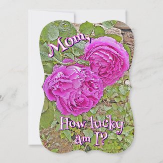Mom, How Lucky Am I?/roses/Mother's Day