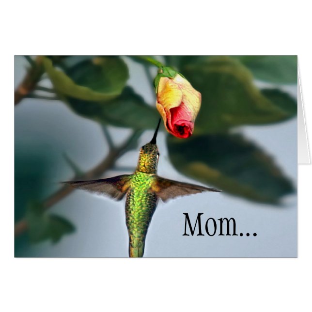 Mom Hummingbird Cards (Front Horizontal)