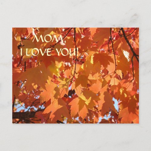 MOM I LOVE YOU Post card Autumn Leaves Postcards