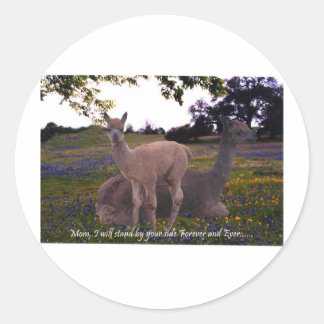 Mom I will stand by your side forever and ever! Classic Round Sticker