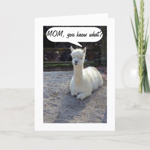 MOM_LLAMA TELLS NO ONE HAS A BETTER TWIN THAN ME CARD