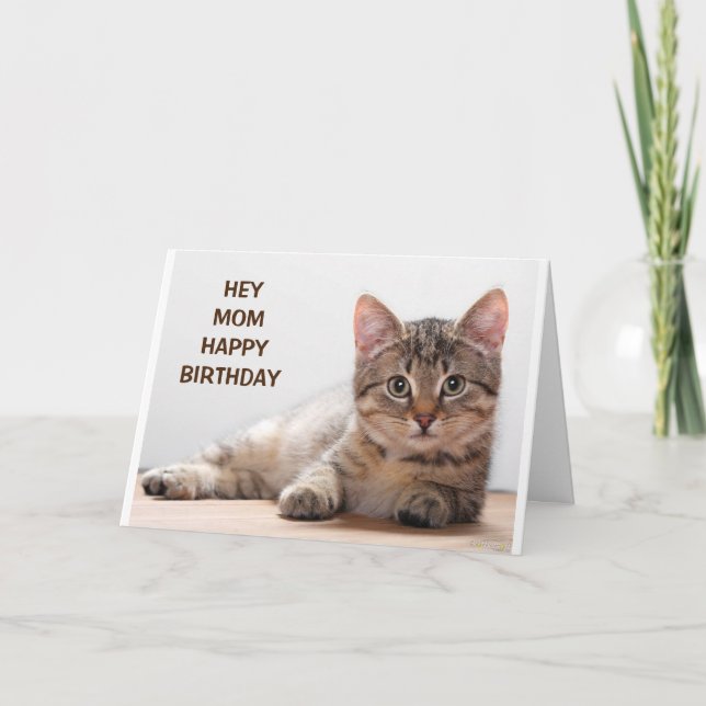 **MOM** MY FAVORITE CAT LOVER'S BIRTHDAY CARD (Front)