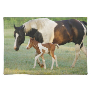 Mom & Newborn Paint Filly Cloth Placemat