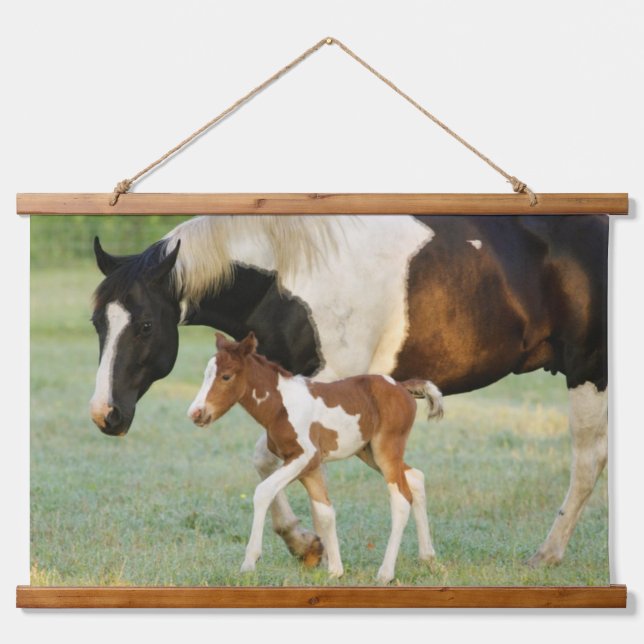 Mom & Newborn Paint Filly Hanging Tapestry (Front)