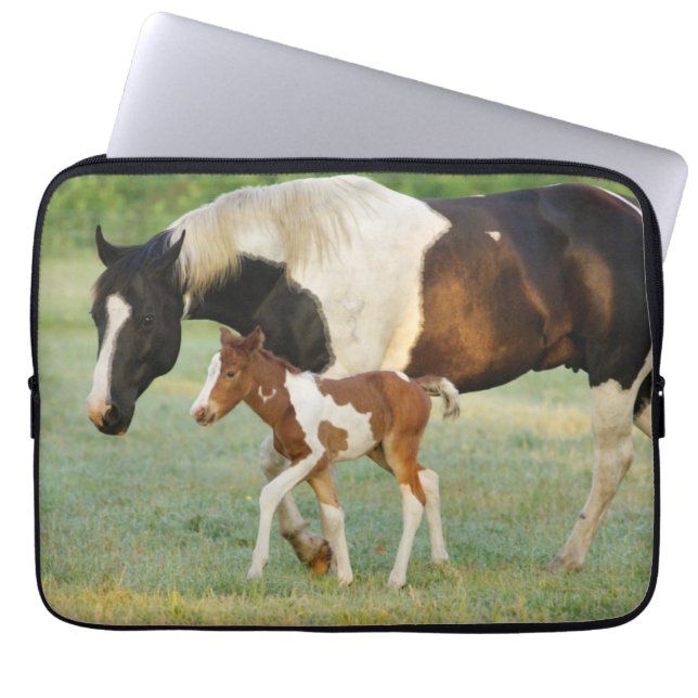 Mom & Newborn Paint Filly Laptop Sleeve (Front)