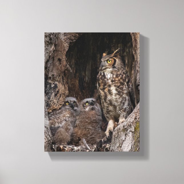 Mom On Guard Duty Canvas Print (Front)
