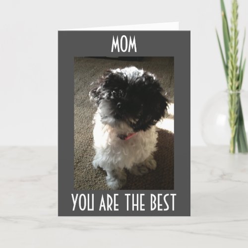 MOM_ONLY THE BEST FOR THE BEST MOMS BIRTHDAY CARD
