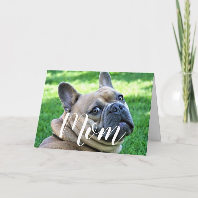 Mom Pet Photo Funny Mothers Day Cute Dog Mom Card (Front)