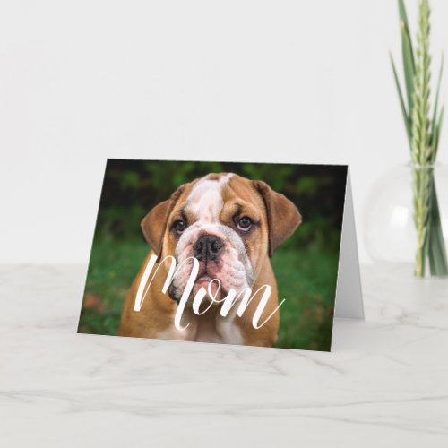 Mom Pet Photo Funny Mothers Day Cute Puppy Dog Mom Card