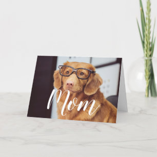 Mom Pet Photo Happy Mothers Day Cute Funny Dog Mom Card