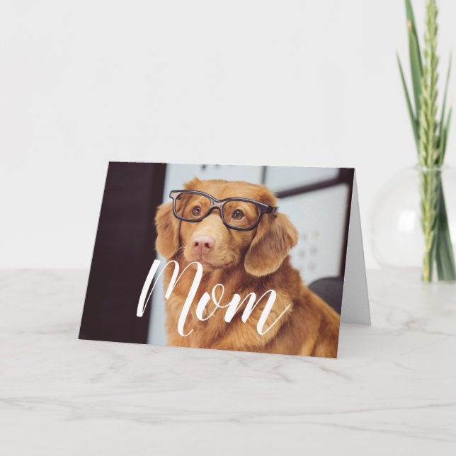 Mom Pet Photo Happy Mothers Day Cute Funny Dog Mom Card (Front)