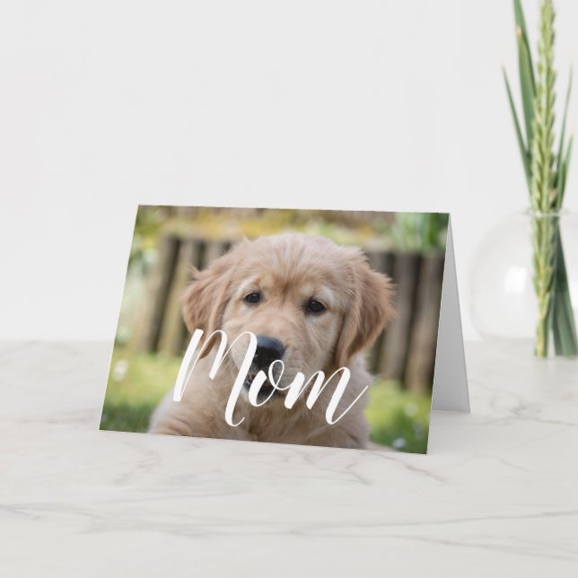 Mom Pet Photo Mothers Day Cute Puppy Dog Mom Card (Front)