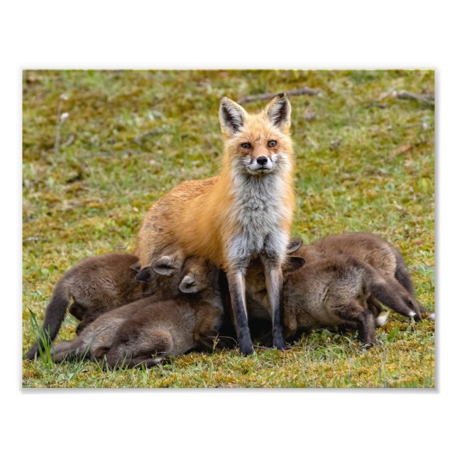  Mom Provides A Family Meal Photo Print (Front)