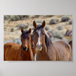 Mom with Teenage Foal Poster