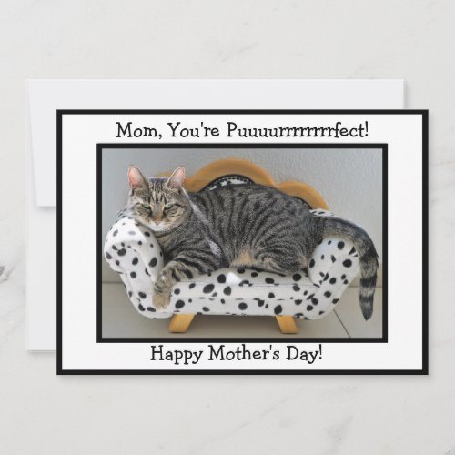 Mom Youre Puurrfect Tiger Cat Mothers Day Holiday Card