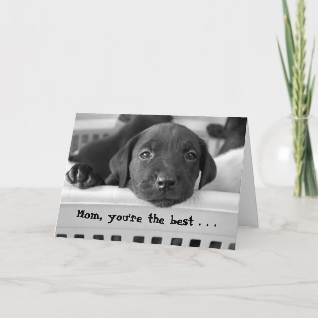 Mom, you're the best . . . card (Front)