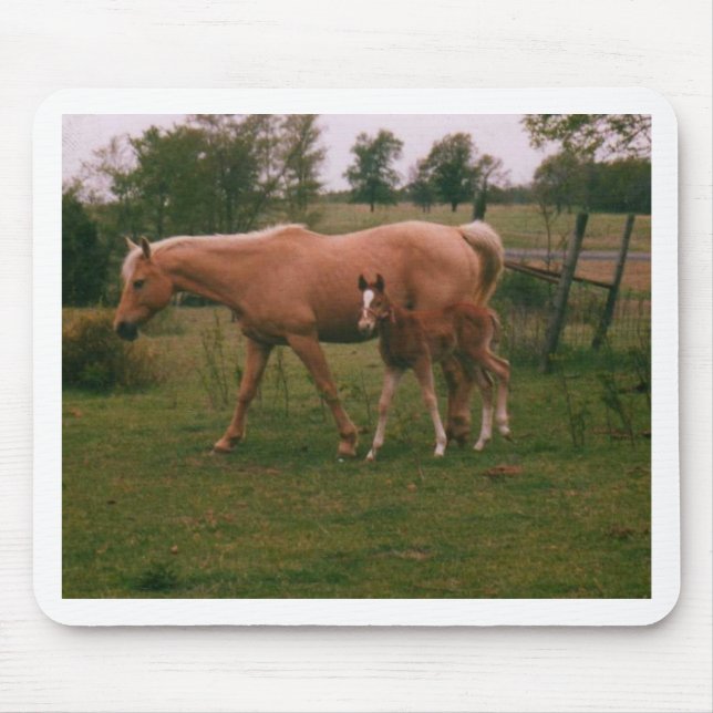 Moma horse and baby horse mouse pad (Front)