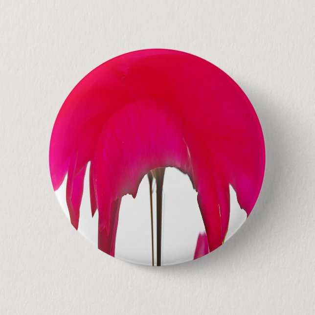 Moment Captured: A Red Rose Petal Elegance Pinback Button (Front)