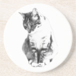 Moment of Reflection Coaster