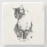 Moment of Reflection Stone Coaster