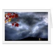 Moments of Wonder (Front Horizontal)