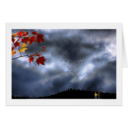 Moments of Wonder Cards (Front Horizontal)