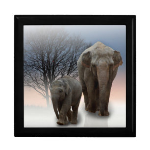 Momma and Baby Elephant Gift Box