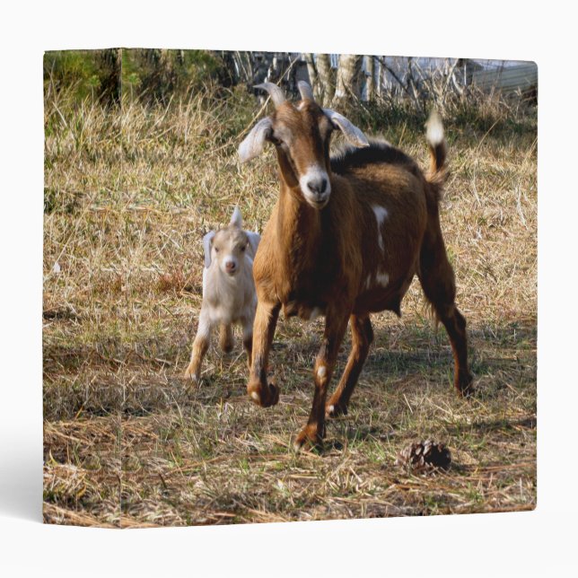 Momma and Baby Goat Binder (Front/Spine)