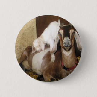 Momma and Baby Goat Pinback Button