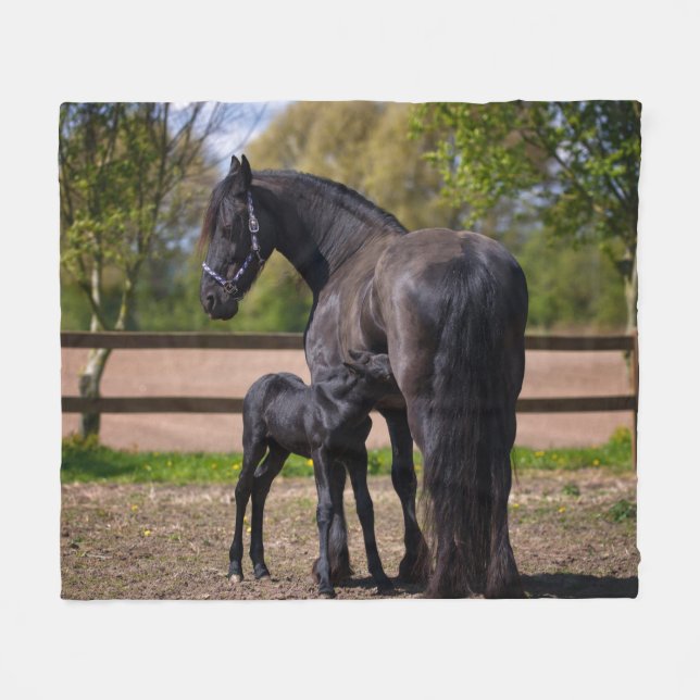 Momma and Baby Horse Fleece Blanket (Front (Horizontal))