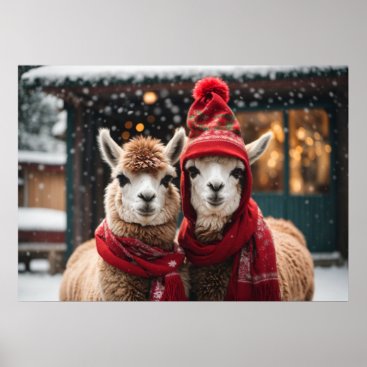 Momma And Baby Llama Wrapped Up In The Snow Poster