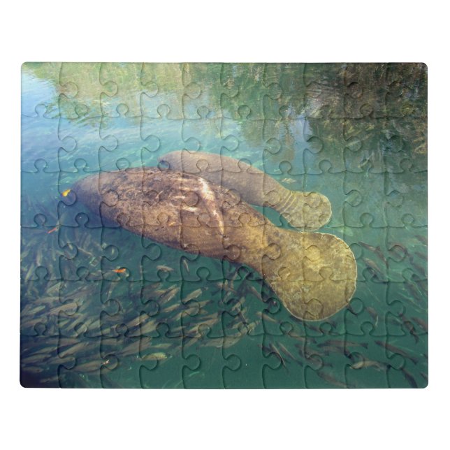 Momma and Baby Manatee -  Acrylic Puzzle (Puzzle Horizontal)