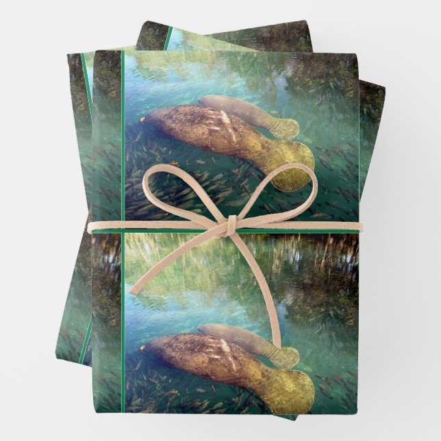 Momma and Baby Manatee - All Occasion Wrapping Paper Sheets (In situ)