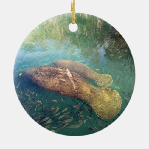 Momma and Baby Manatee CeramicPorcelain Ornament