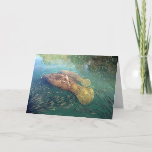 Momma and Baby Manatee Mothers Day Card