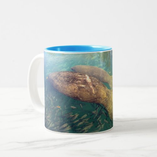 Momma and Baby Manatee Mug