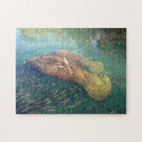 Momma and Baby Manatee Puzzle