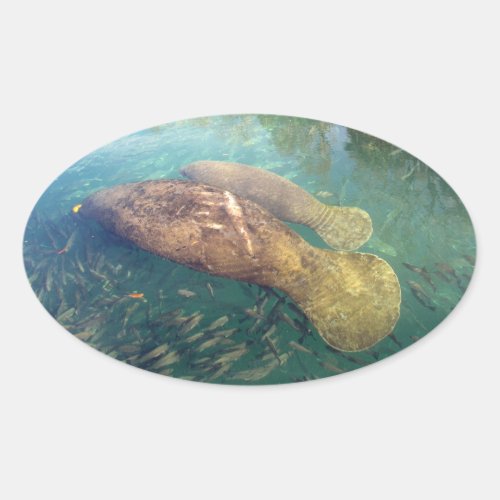 Momma and Baby Manatee Stickers