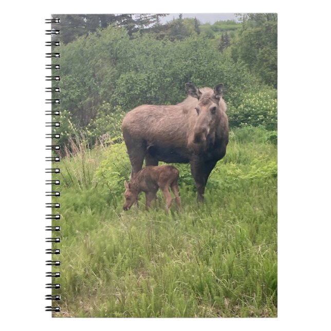 Momma and Baby Moose Notebook (Front)
