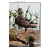 Momma & Baby 2 (Front)