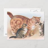 "Momma Cat" Vintage Postcard (Front/Back)