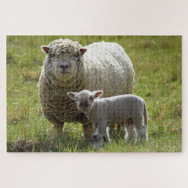 Momma's Baby Lamb - 20x30 Jigsaw Puzzle (Horizontal)