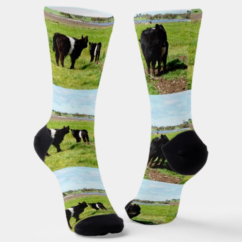 Mommy And Babies Galloway Cow Crew Socks