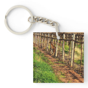 Mommy And Baby Australian Kangaroo, Keychain