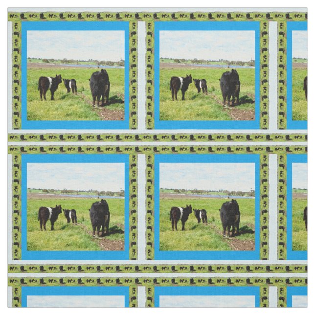 Mommy And Baby Belted Galloway Cows, Fabric (Swatch)